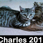Charles.. 2015